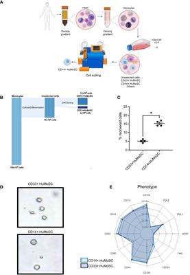 Human Monocyte-Derived Suppressor Cell Supernatant Induces Immunoregulatory Effects and Mitigates xenoGvHD